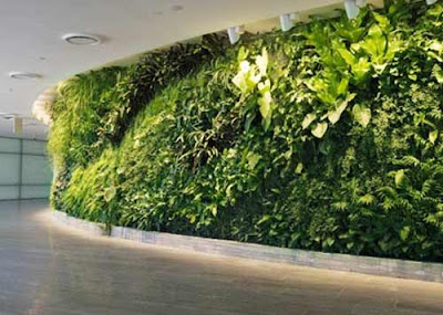Living green wall